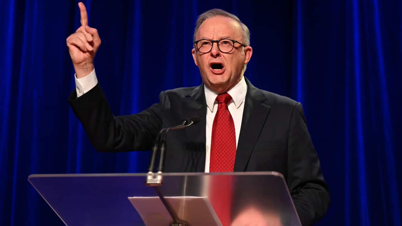 Image for read more article 'READ MORE'