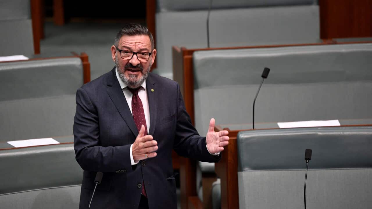 Steve Georganas MP