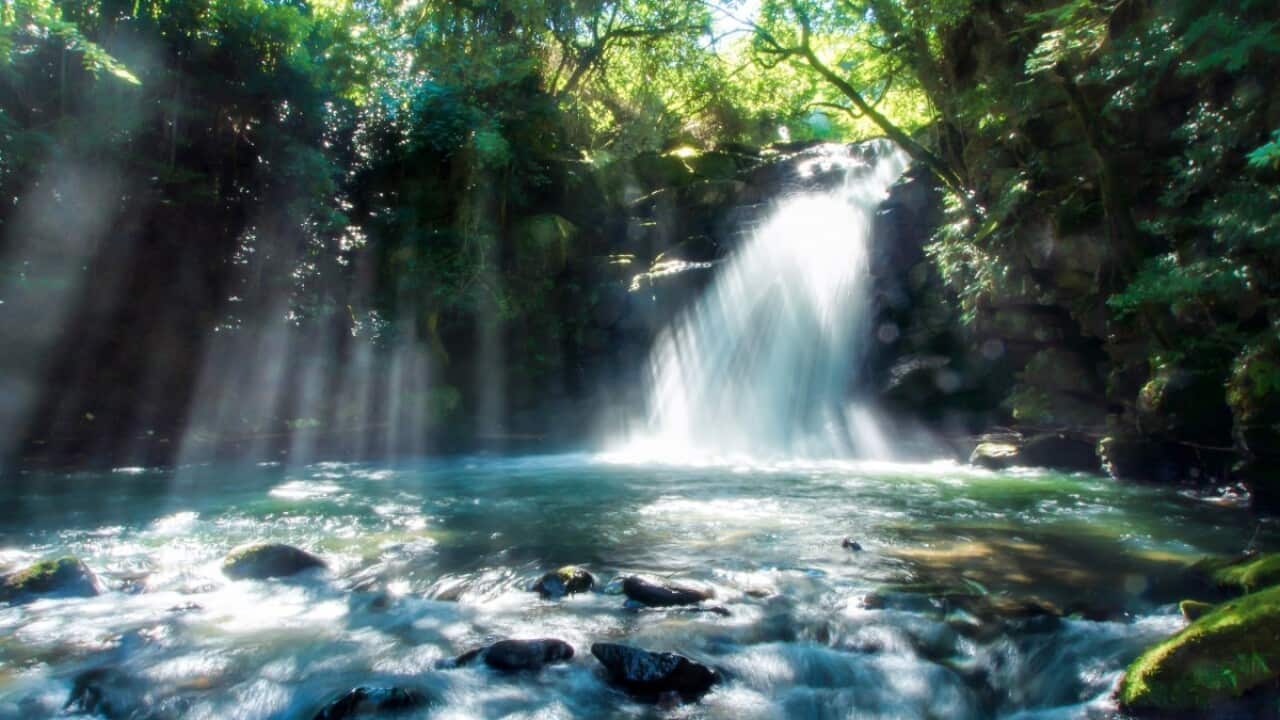 Image for read more article ''