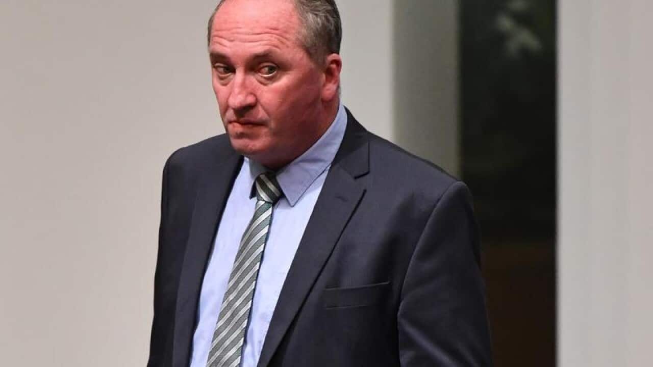 Former deputy prime minister Barnaby Joyce