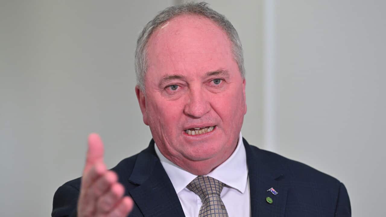 Medium close-up of Australian politician Barnaby Joyce wearing a suit and patterned tie, gesturing with his right hand forward while speaking against a neutral wall.