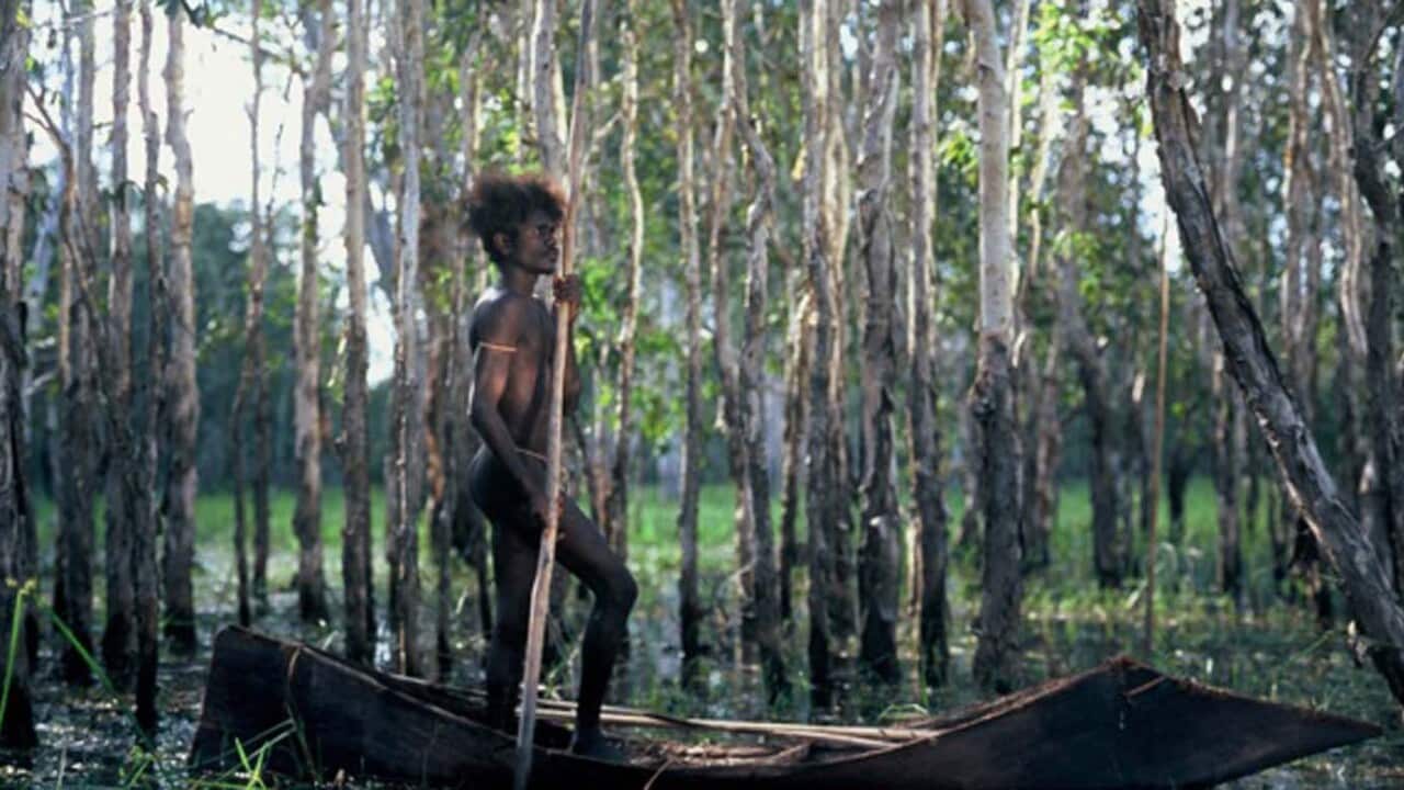 Ten Canoes film Rolf de Heer