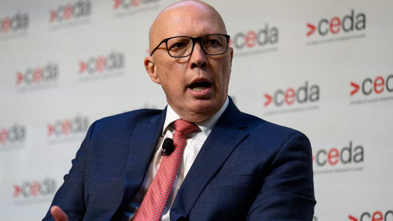 Peter Dutton, wearing a suit, tie and glasses, speaking while seated.