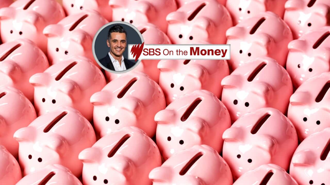 SBS On the Money piggies