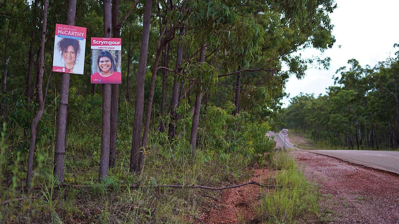 Labor Campaign posters hanging in trees in the northern territory