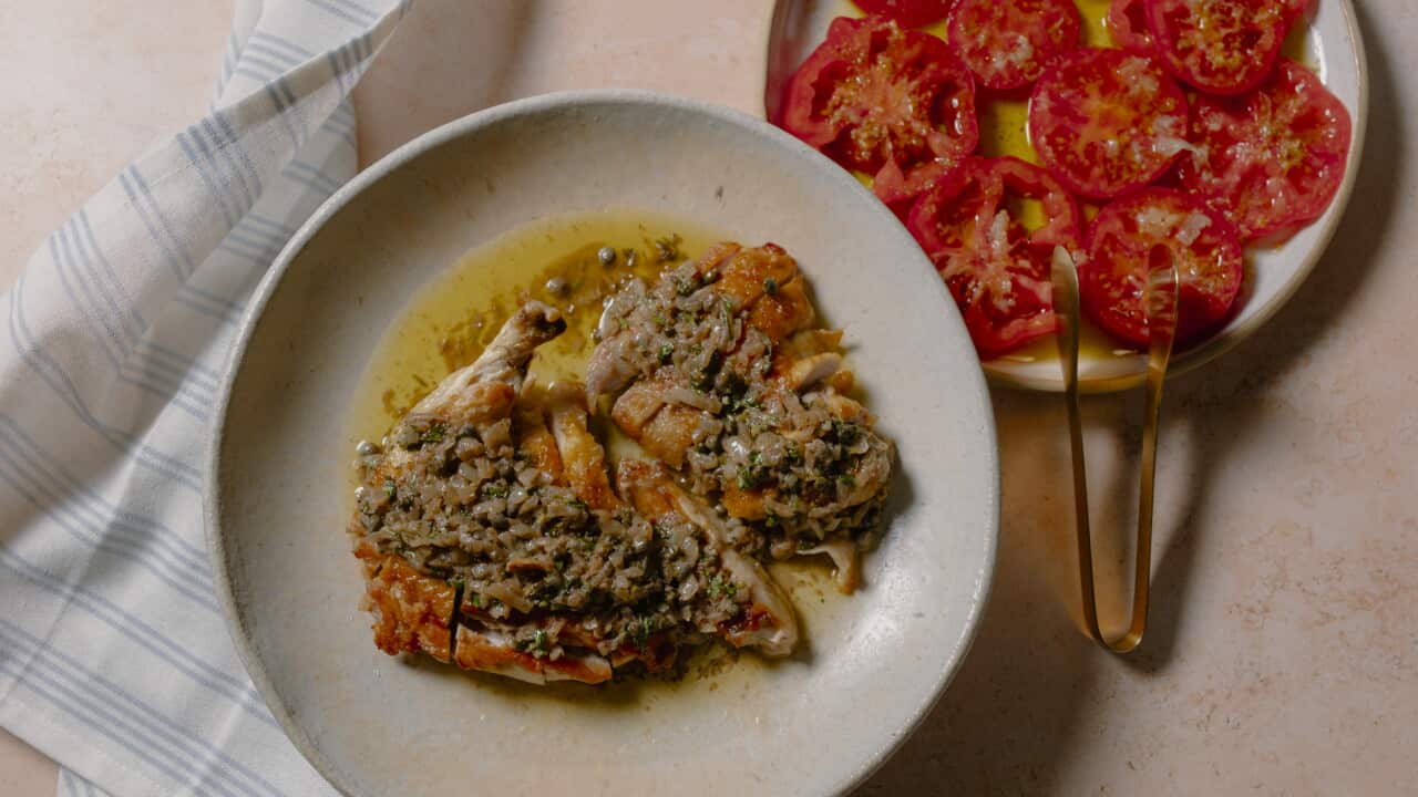 Pan-roast chicken with tomato salad