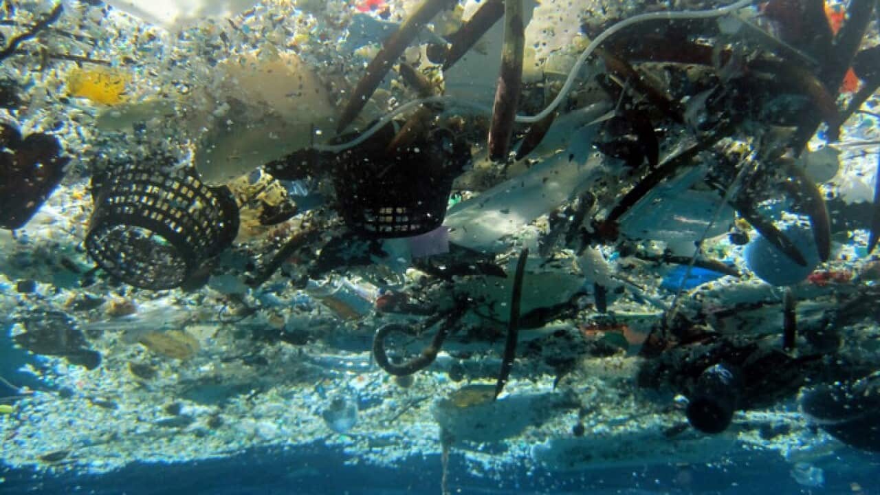 This file 2008 photo provided by NOAA shows debris in Hanauma Bay, Hawaii.