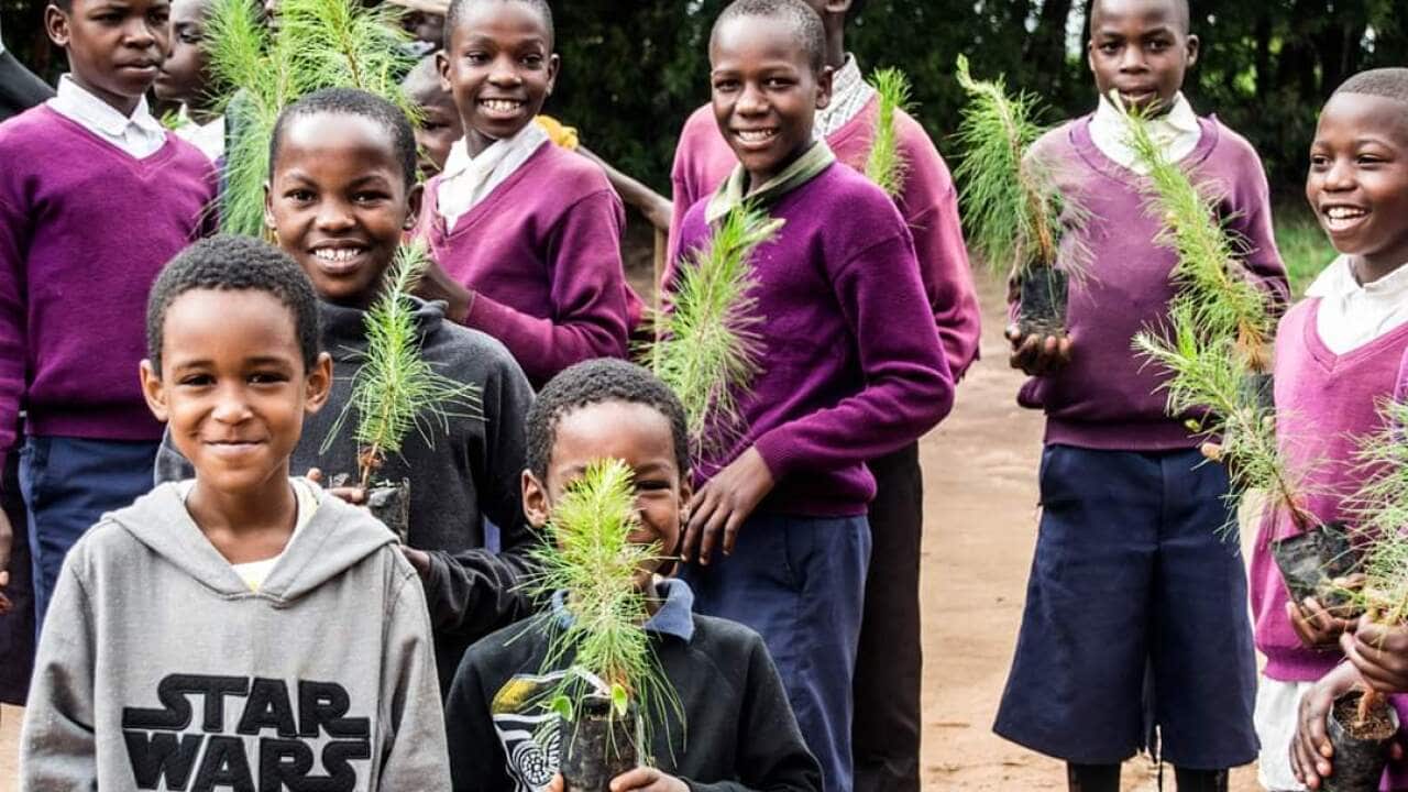 Piantala subito! Progetto di Tulime onlus, Tanzania