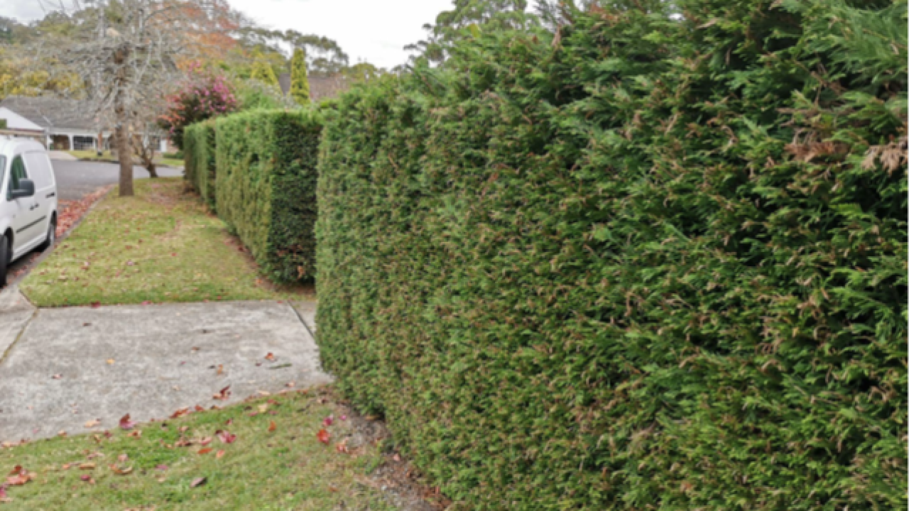 Image for read more article ''