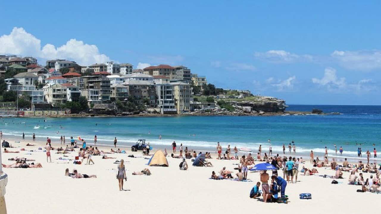 Summer in Bondi beach