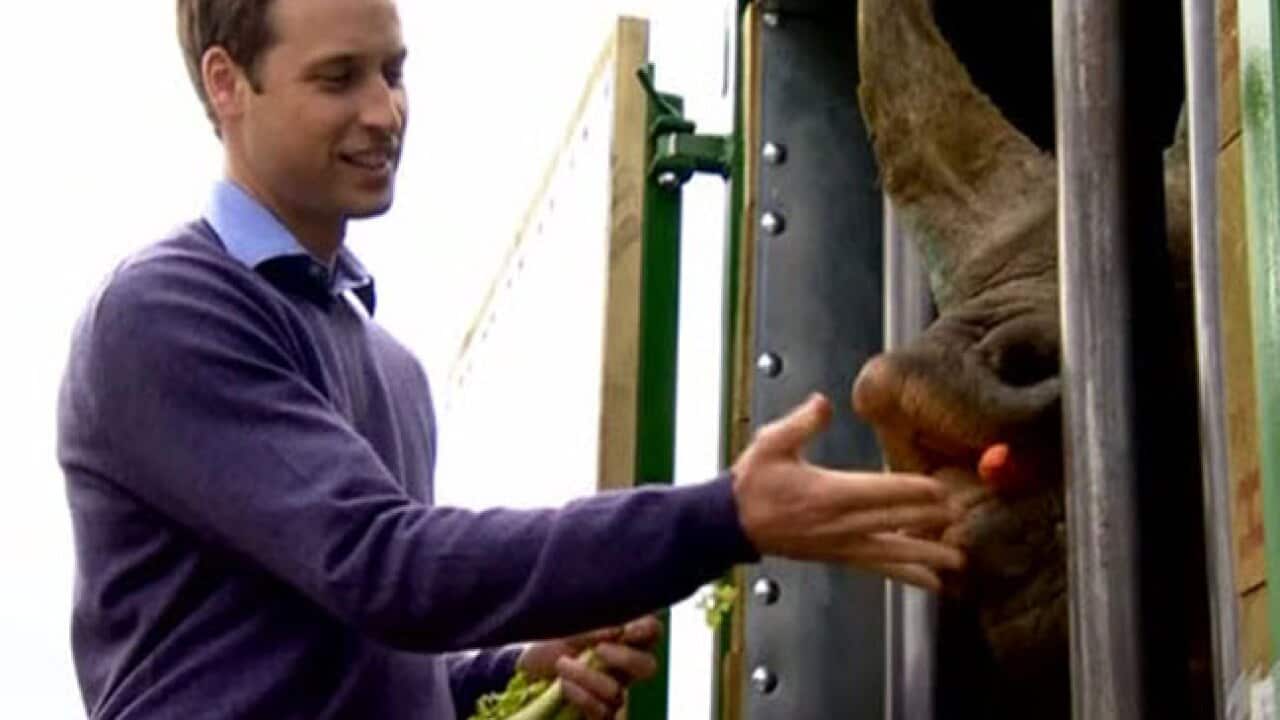 prince_will_rhino_120620_L_bbc_1117906686