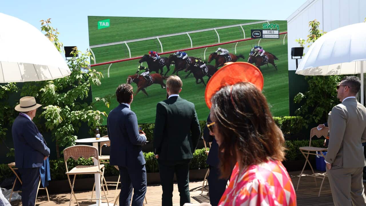 RACING 2024 MELBOURNE CUP