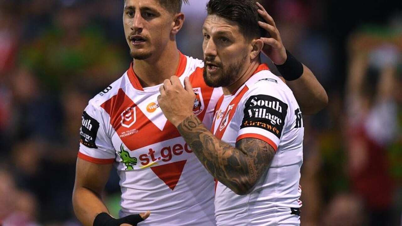NRL DRAGONS RABBITOHS WIDDOP