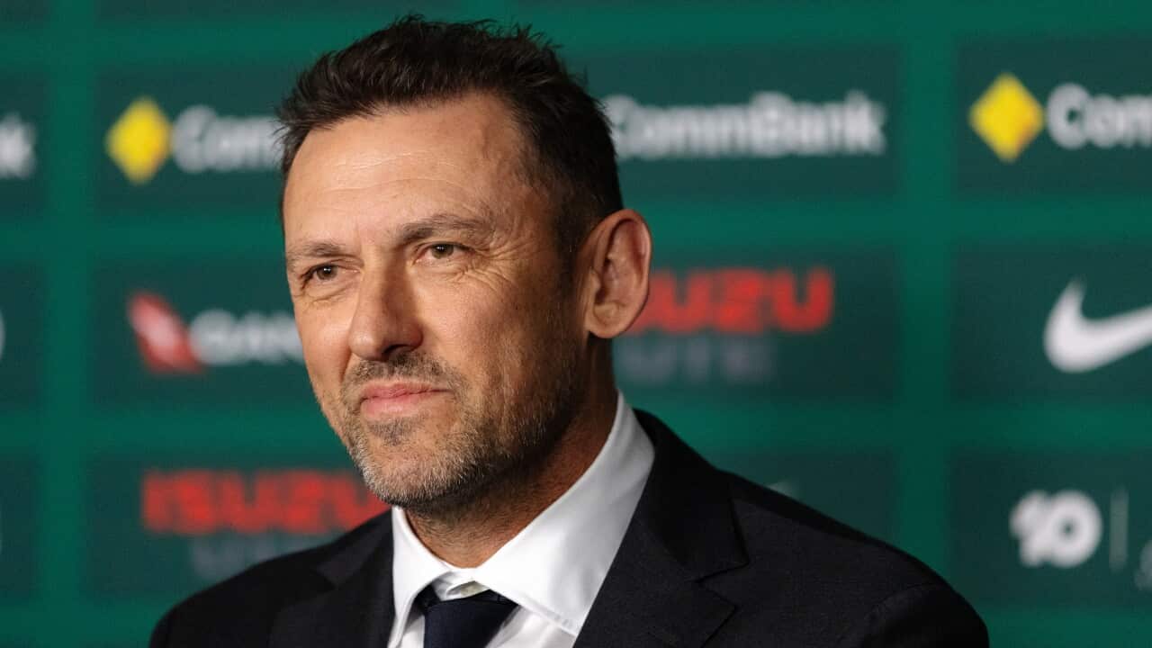 Who is Socceroos coach Tony Popovic: Inside Australia's World Cup training regime | SBS News