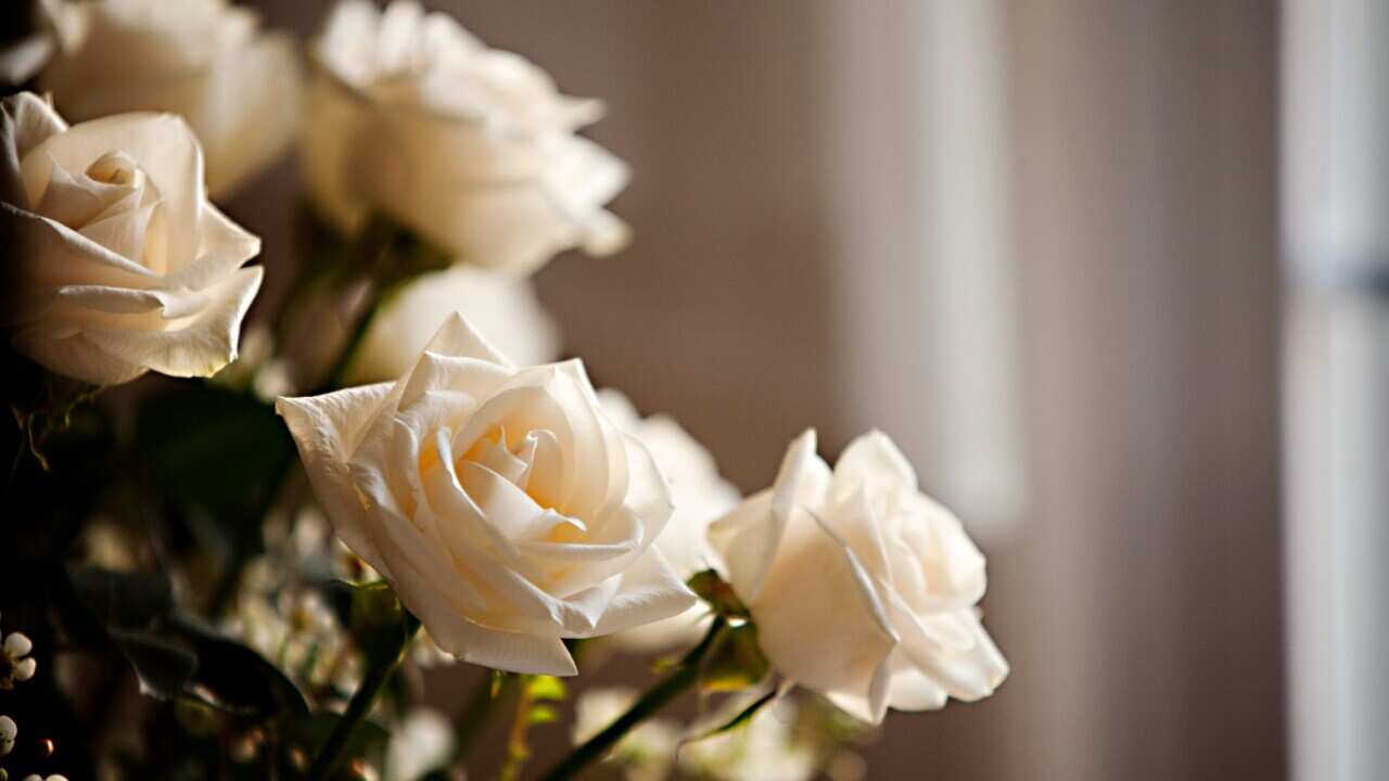 Image for read more article 'ΔΕΙΤΕ ΑΚΟΜΗ'