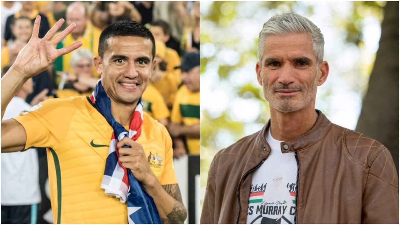 Tim Cahill