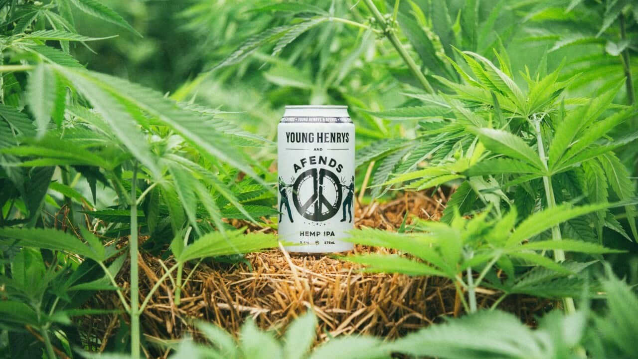 This is not your average booze.