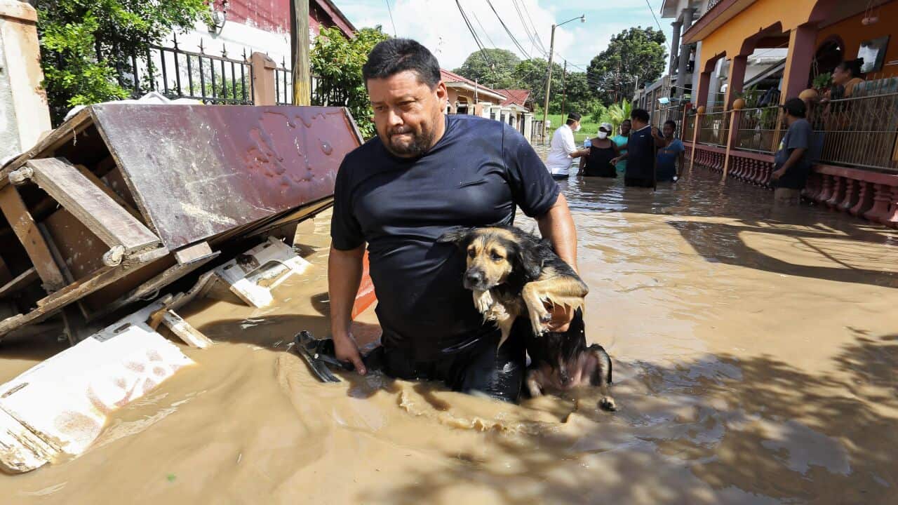 A man carries a dog as he wades through the water in the flooded municipality of La Lima near San Pedro Sula in Honduras, on 19 November.