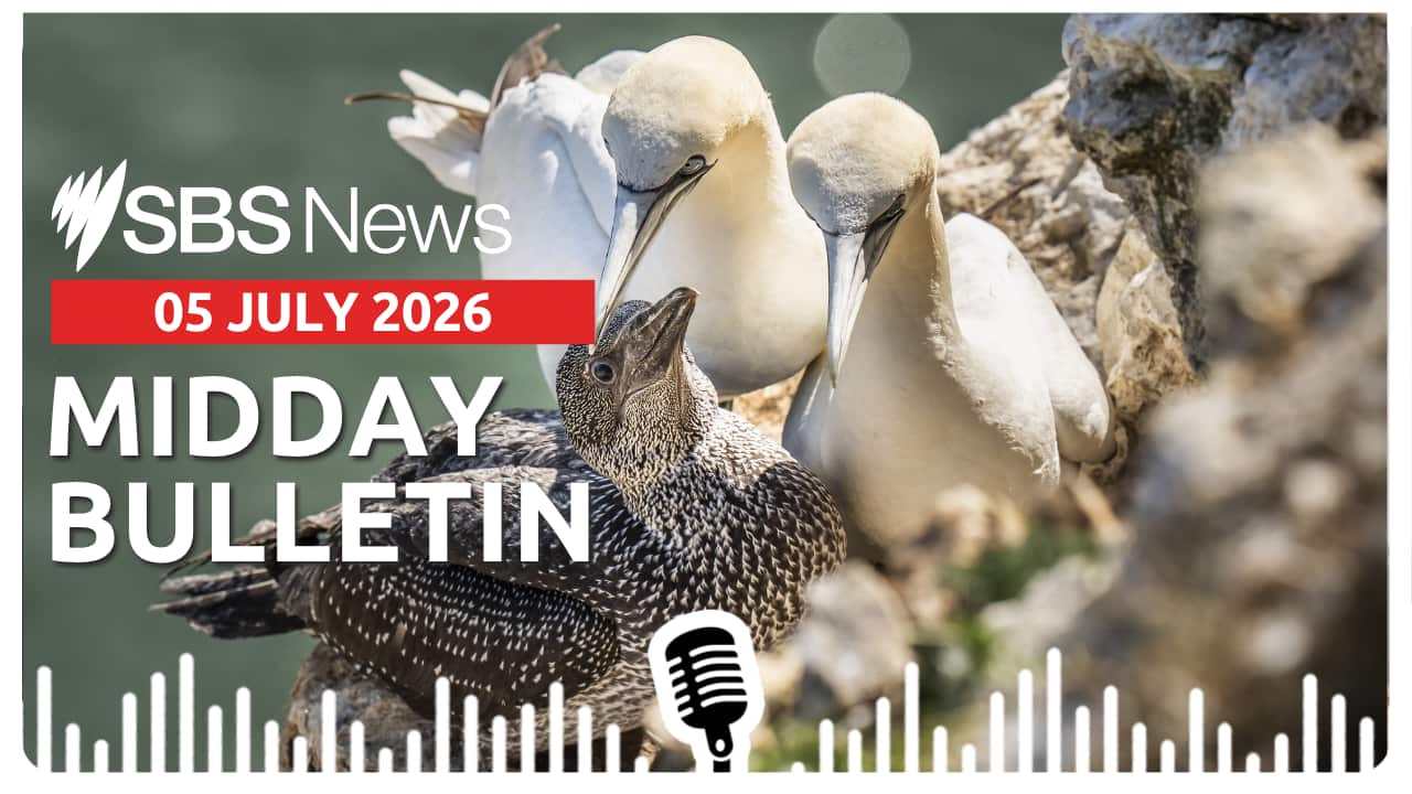 MIDDAY BULLETIN (2).png