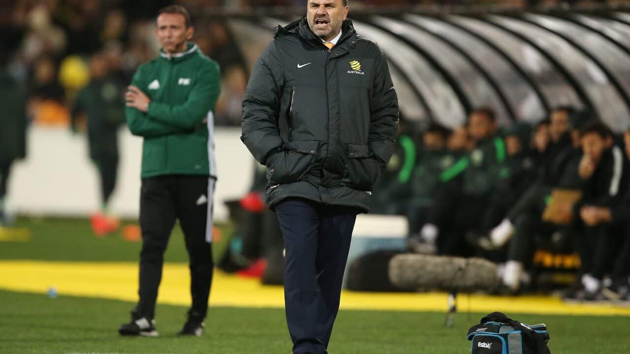 Ange Postecoglou
