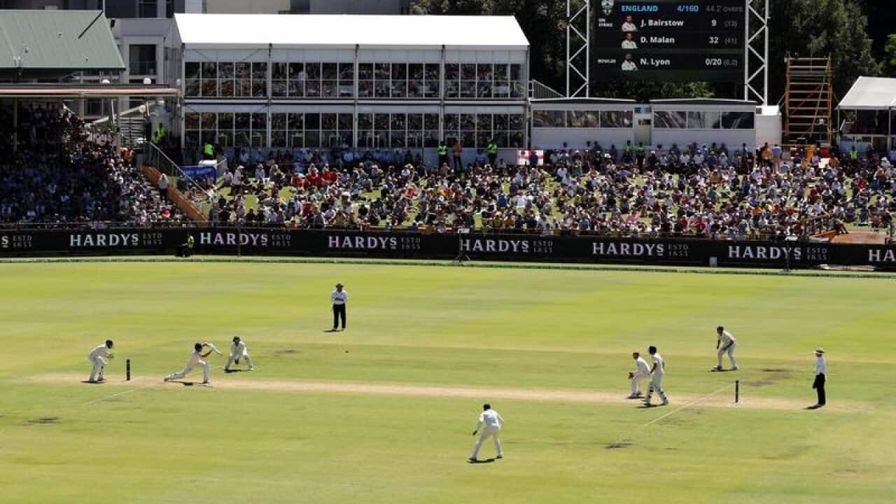 Cricketers during the third Ashes Test at the WACA