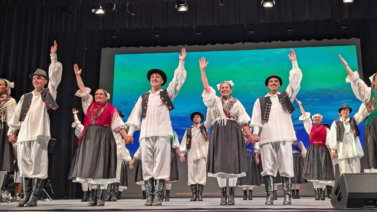 vukovar 40ta sydney 02112024