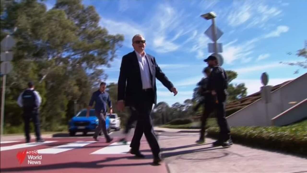 ALBO WALK.jpg