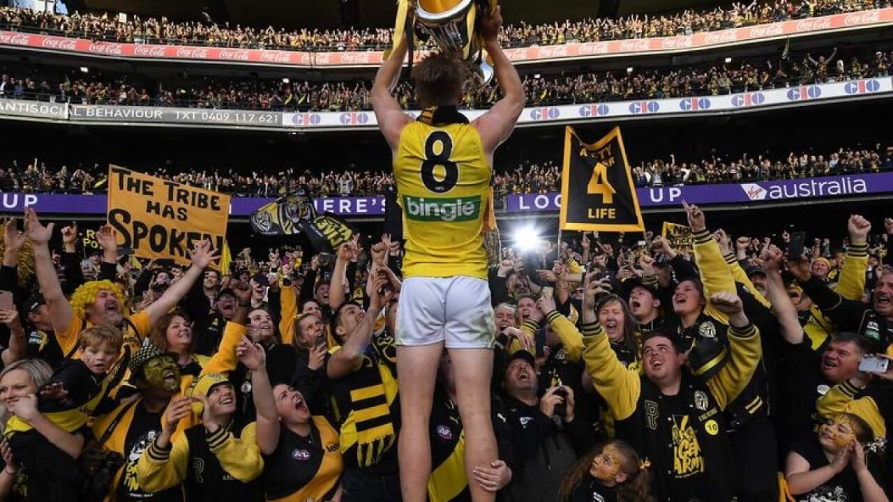 Jack Riewoldt of the Tigers