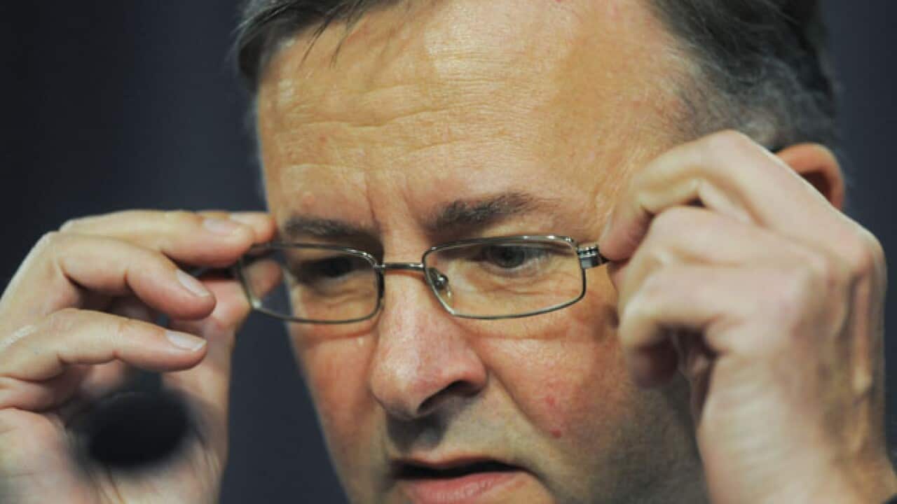 Albanese large_448293953