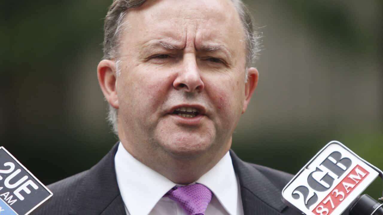 Coalition leader Anthony Albanese