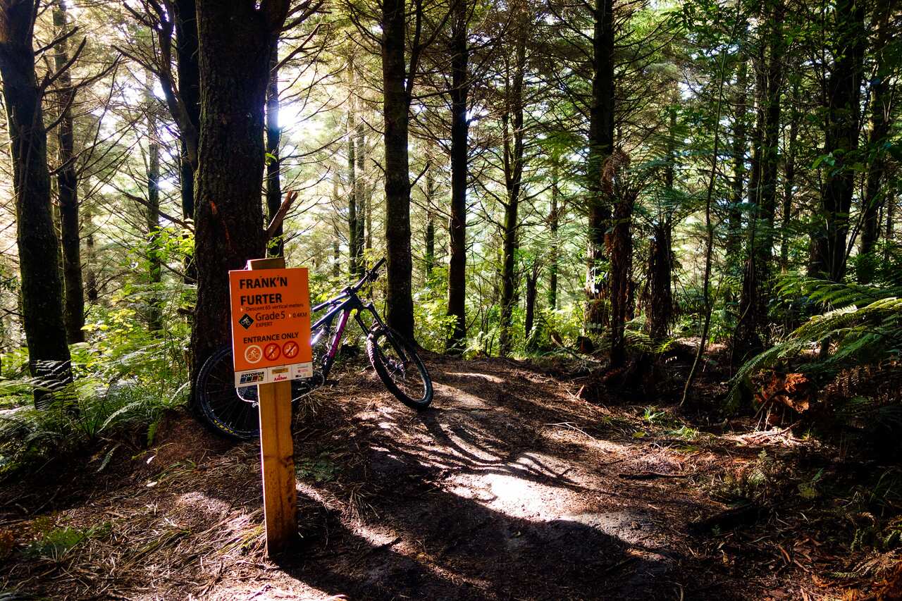 Mountain Biking is fun