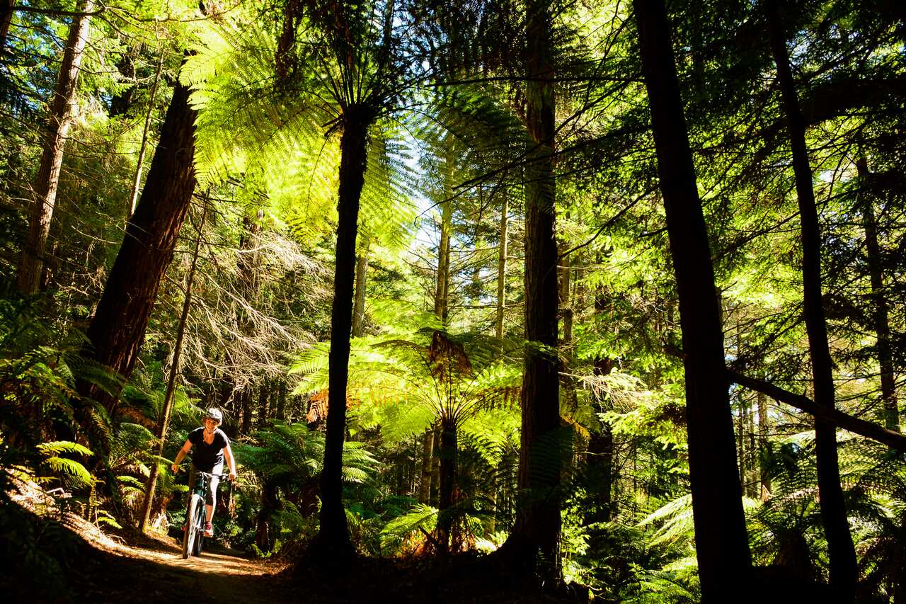 Mountain Biking is fun