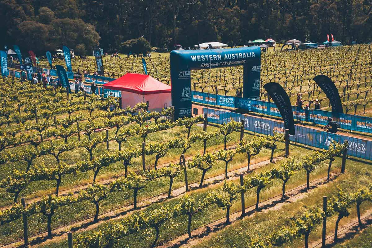 Race through rolling vineyards in the Cape to Cape