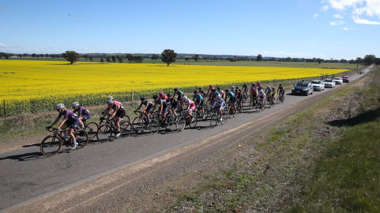 The NRS will have a virtual calendar of racing on Zwift