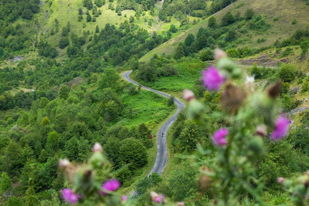 Haute Route