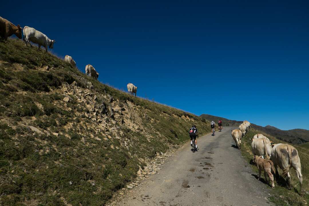 Haute Route