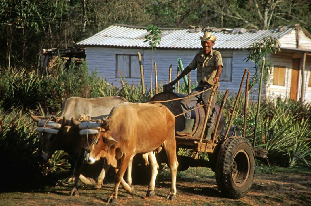Cycling, Cuba, Tourism