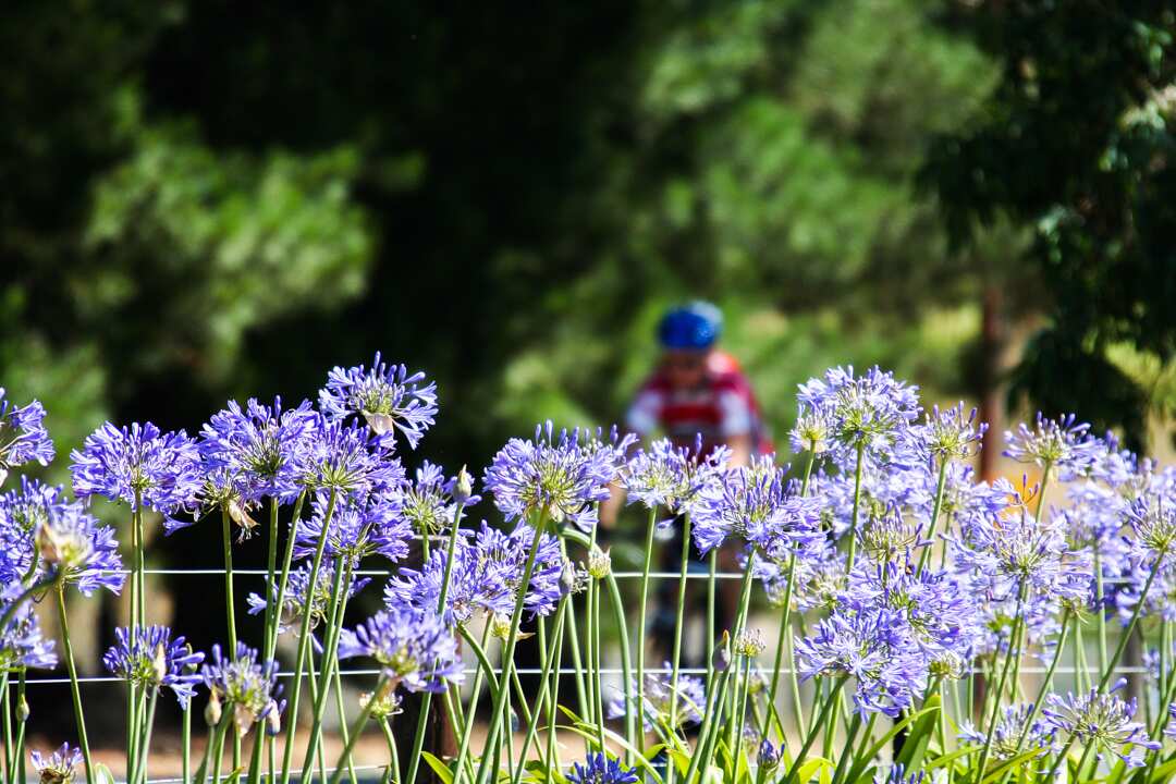South Australia