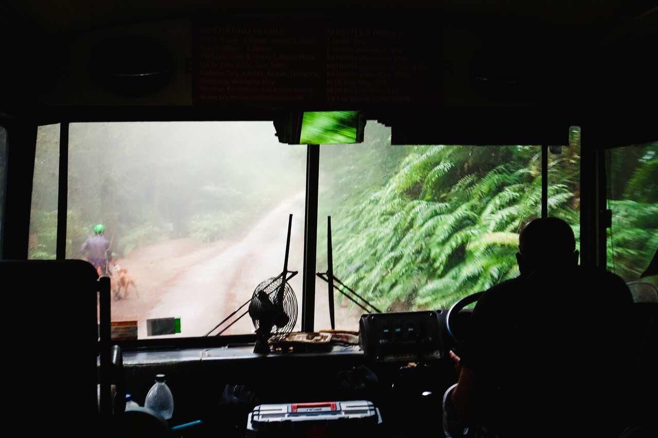Rotorua mountain biking