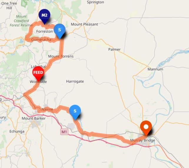 womens tour down under