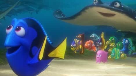 Finding Dory