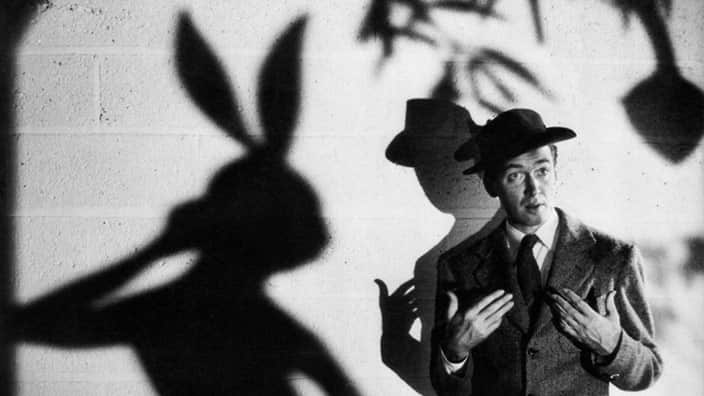 15 Weird and Wonderful Rabbits in Movies | SBS What's On