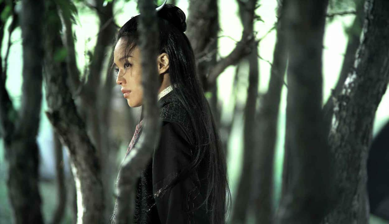 The Assassin movie review