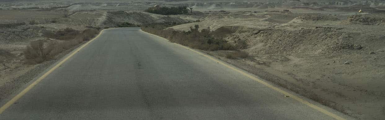 Birds of the Borderland