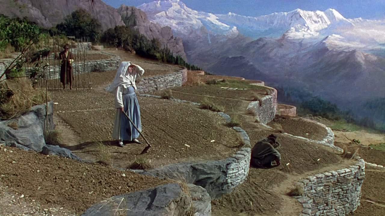 black-narcissus-backdrop.jpg