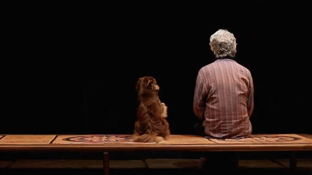 Closed-Curtain_640_985917212