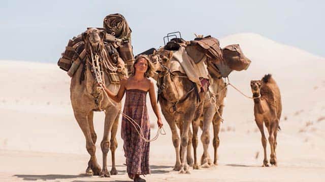 tracks_640_1_1837821095