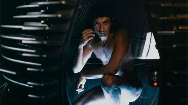 The-Fly_large_668778582