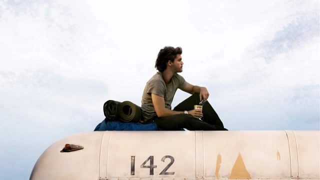 Into the wild
