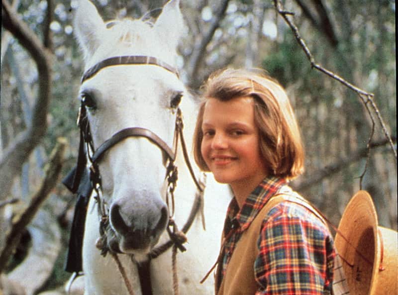 The Silver Brumby, Amiel Daemion